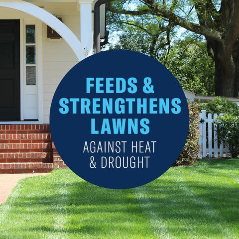 Lawn fertilizer greens and strengthens turf for a lush look.