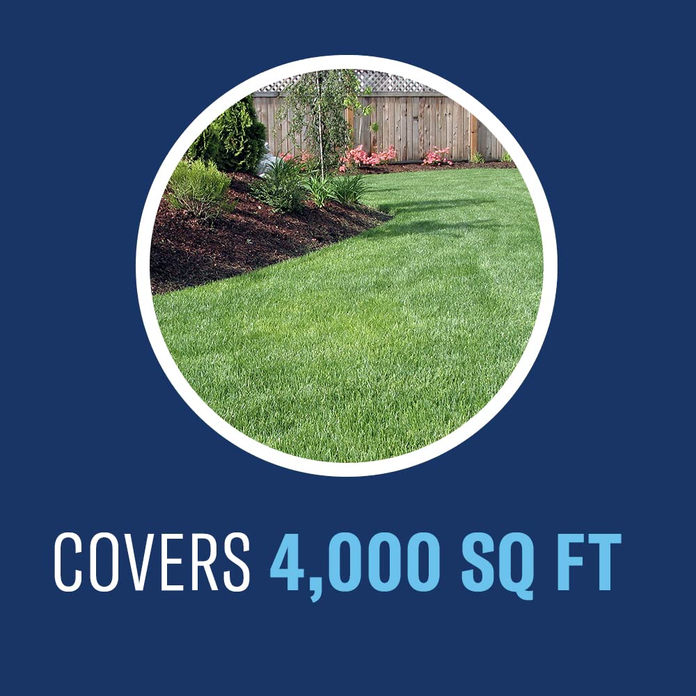BioAdvanced lawn looks healthier after treatment with fewer weeds