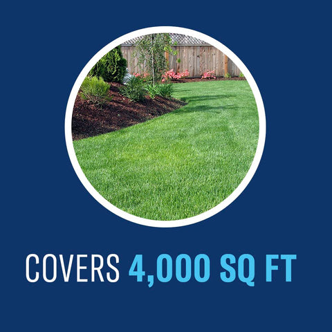 BioAdvanced lawn looks healthier after treatment with fewer weeds