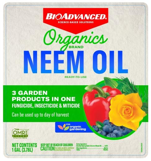 BioAdvanced Neem Oil on aphids on a rose leaf for targeted care