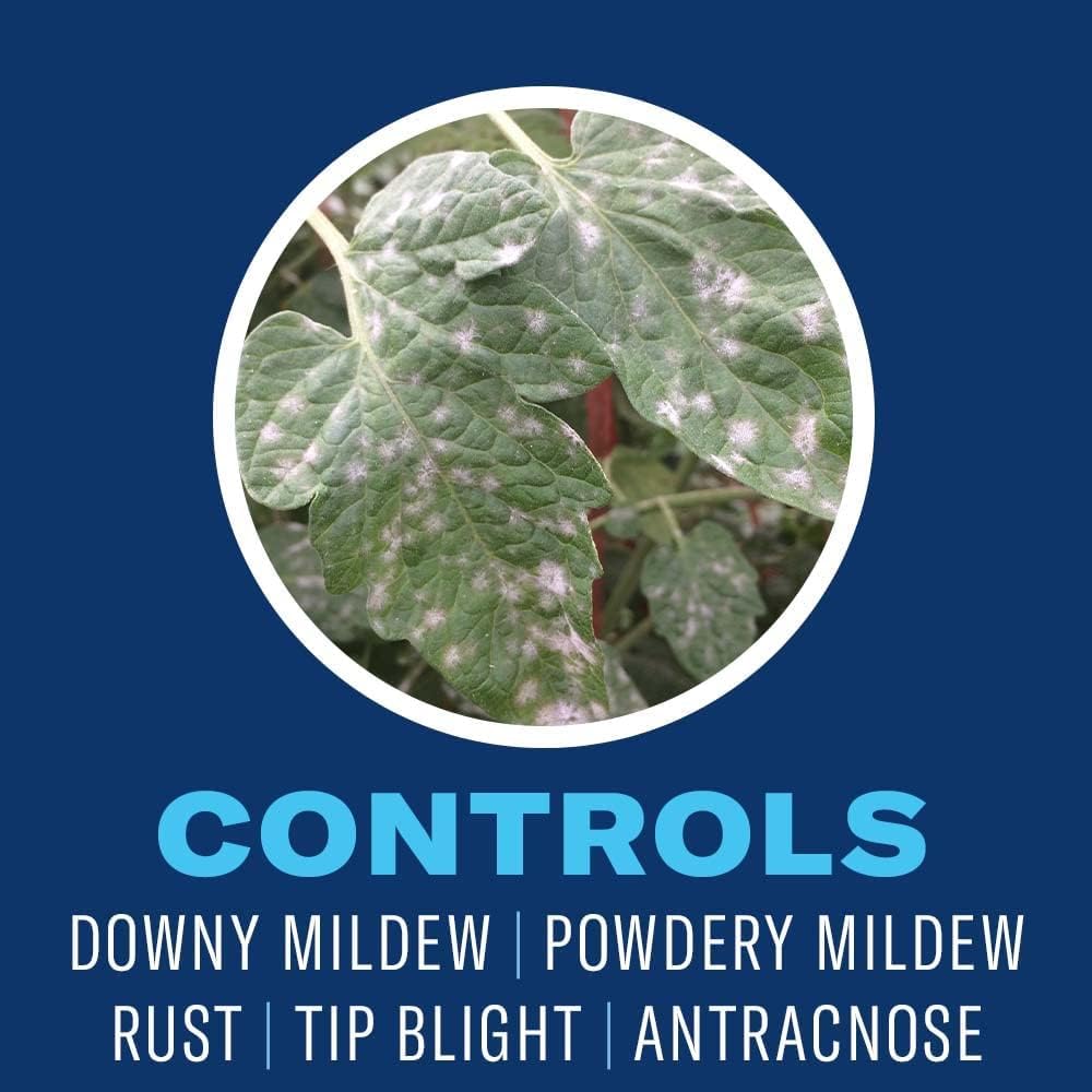 BioAdvanced Neem Oil used in outdoor garden settings for plant protection.
