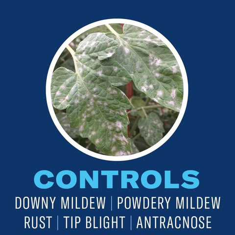 BioAdvanced Neem Oil used in outdoor garden settings for plant protection.