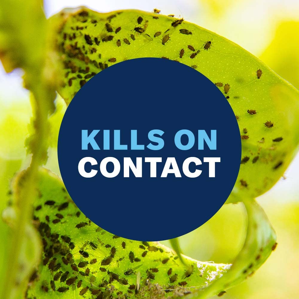 BioAdvanced nut tree protection guards leaves and fruit during growth.