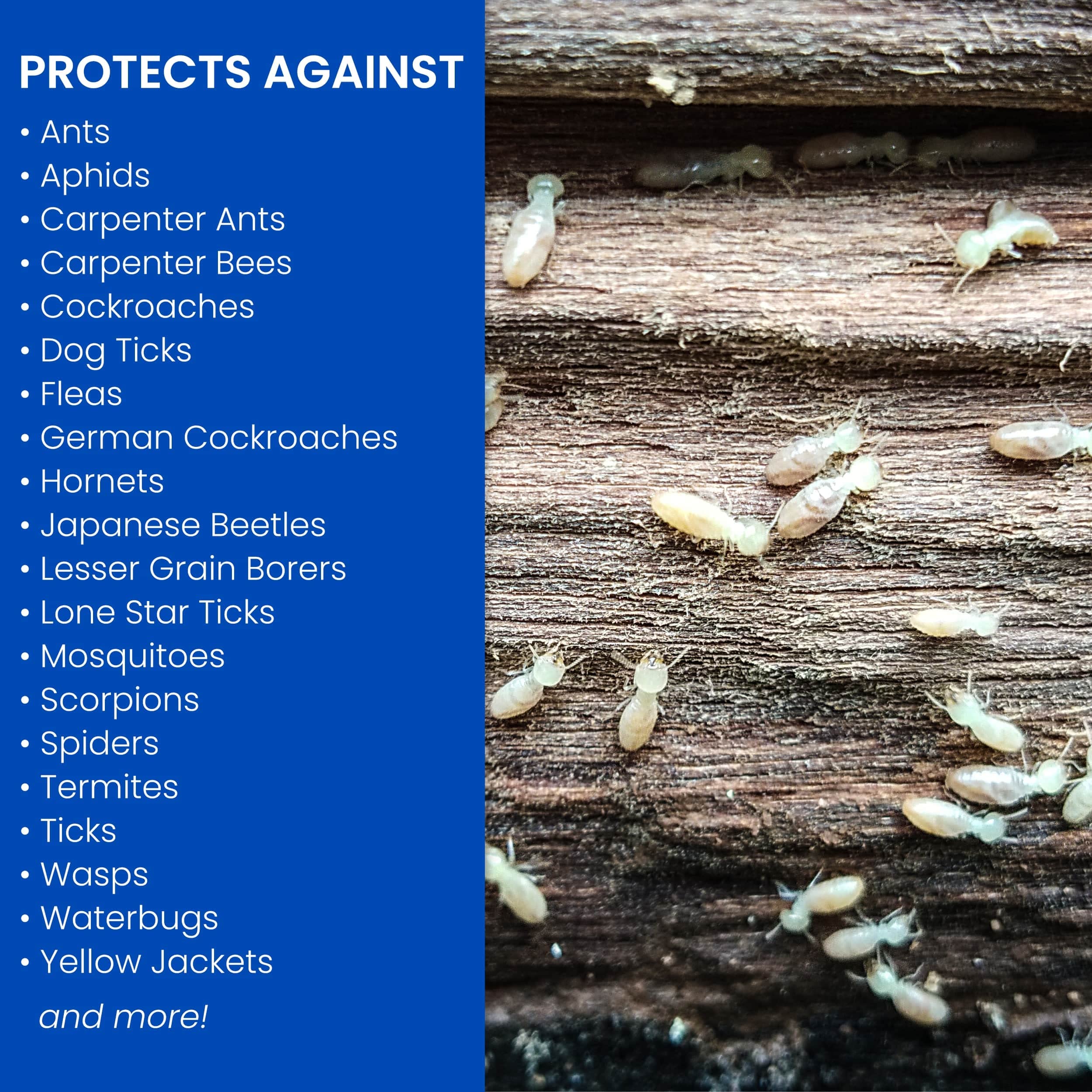 Outdoor deck treatment with BioAdvanced for perimeter pest suppression.