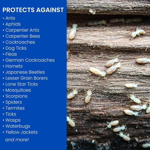 Outdoor deck treatment with BioAdvanced for perimeter pest suppression.
