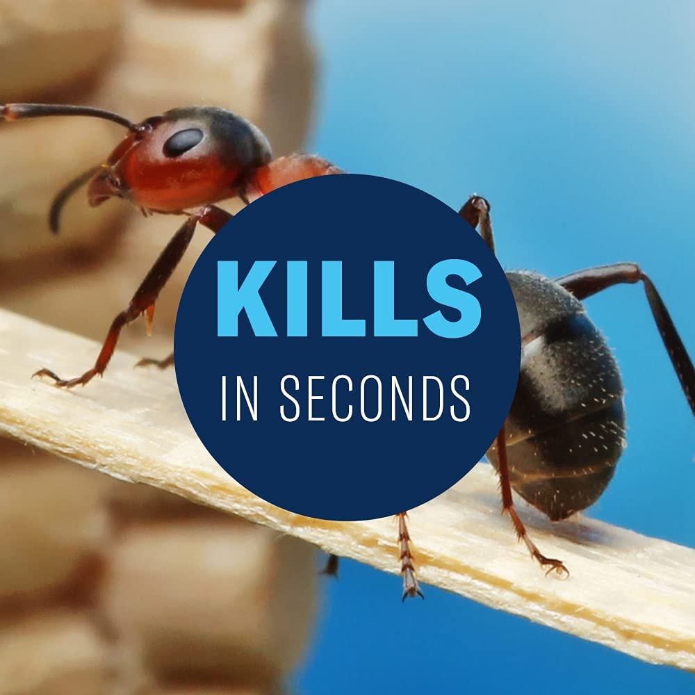BioAdvanced outdoor perimeter treatment protects home from pests