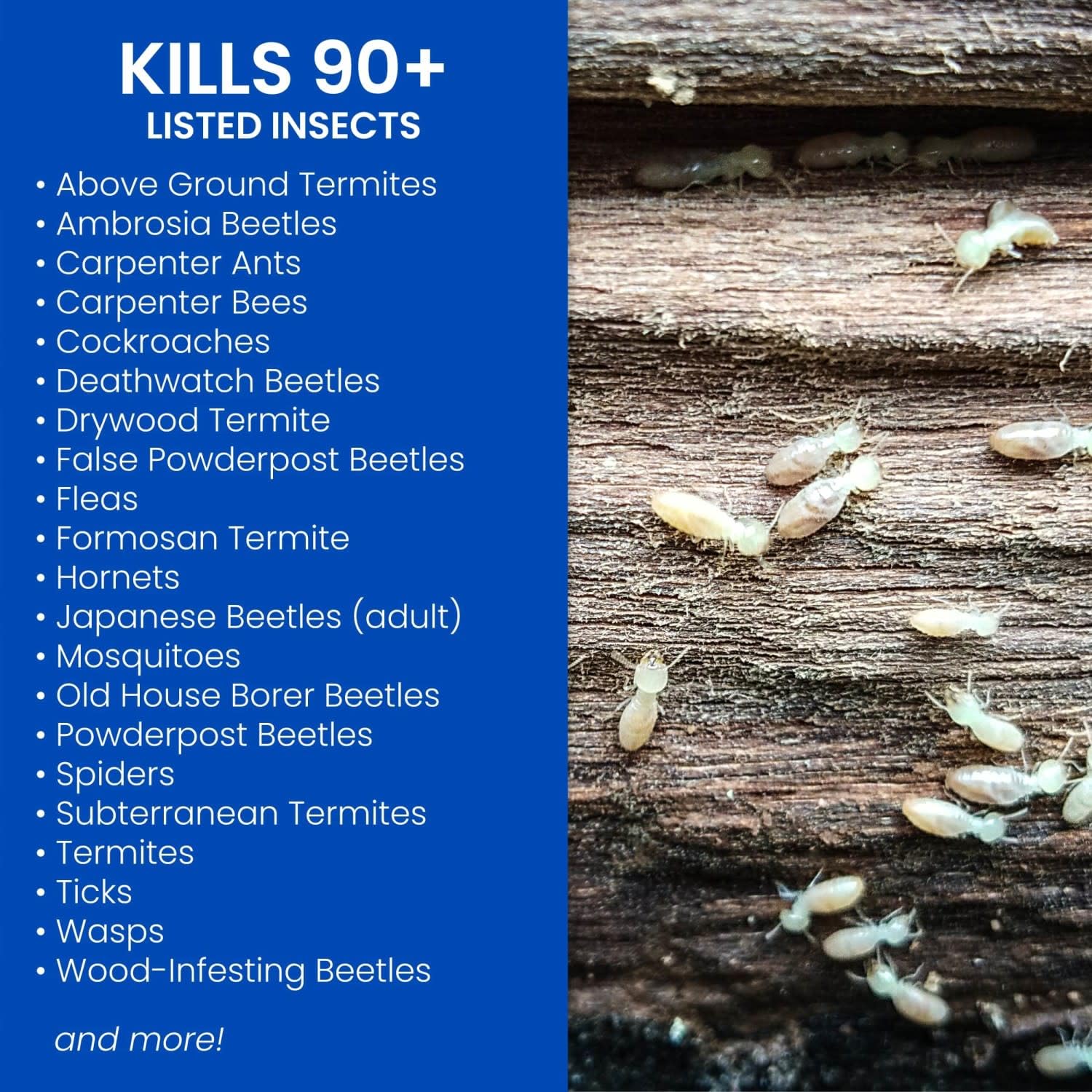 BioAdvanced outdoor spray being applied around a deck for pest control.