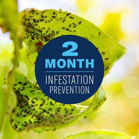 BioAdvanced pest-killing action targeting aphids and whiteflies on fruit trees