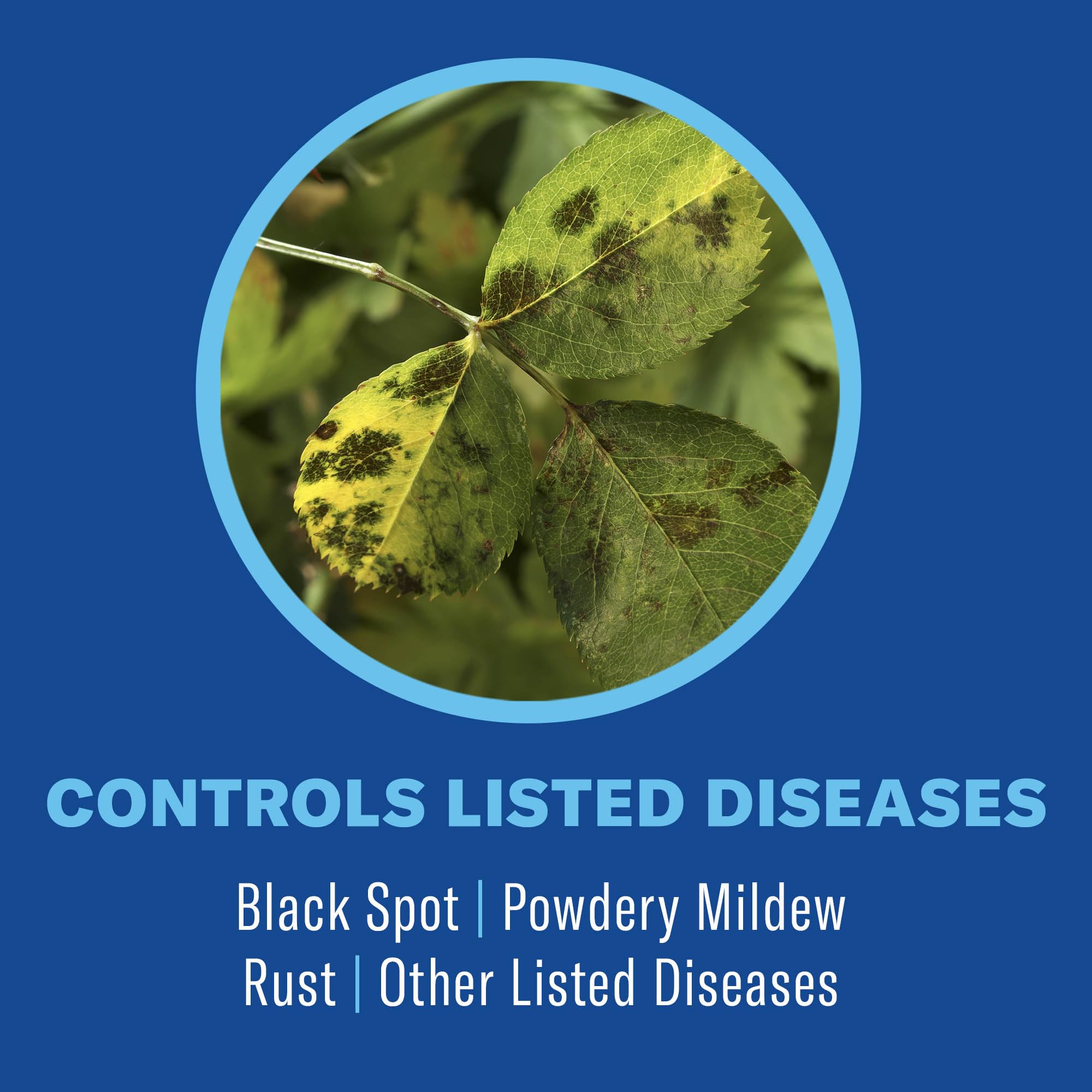 BioAdvanced plant mite control application near leafy foliage.