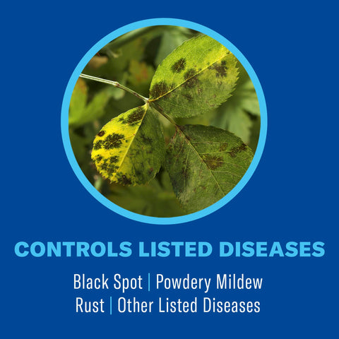 BioAdvanced plant mite control application near leafy foliage.