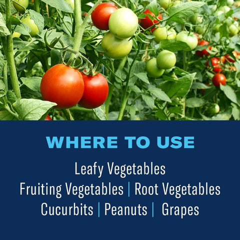 BioAdvanced protects fruits and vegetables from pests like aphids.