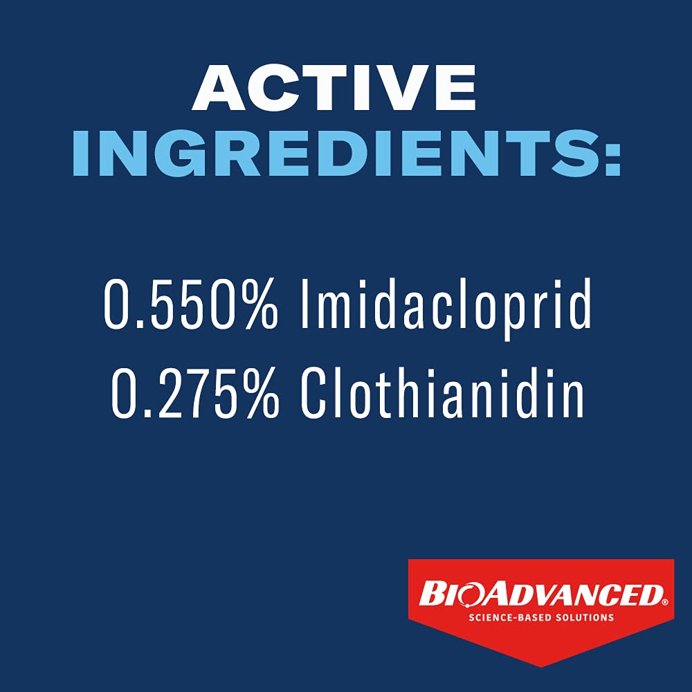 BioAdvanced rainproof protection root uptake visual suggests long-lasting protection after rainfall.