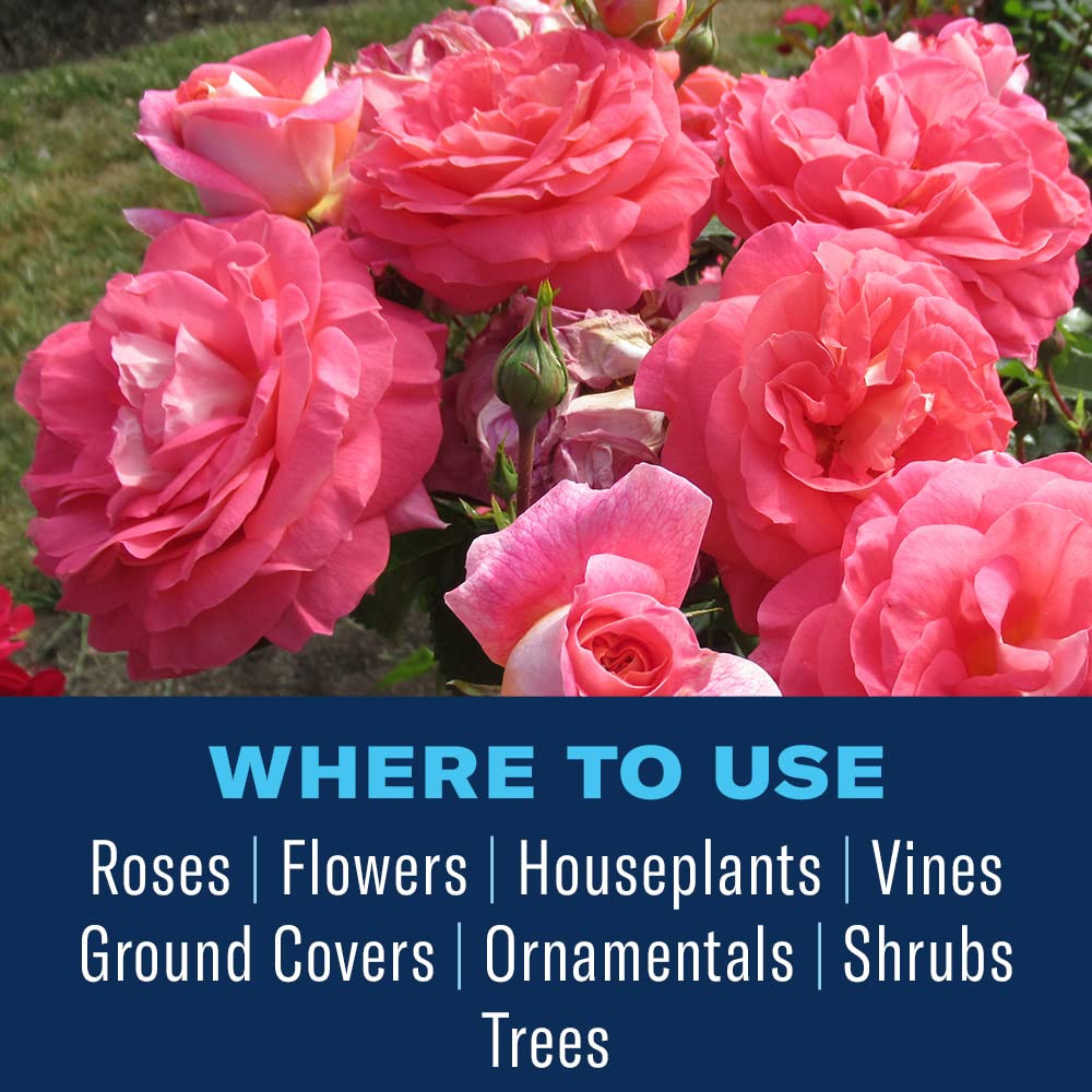 BioAdvanced roses and ground covers treated with rose spray.