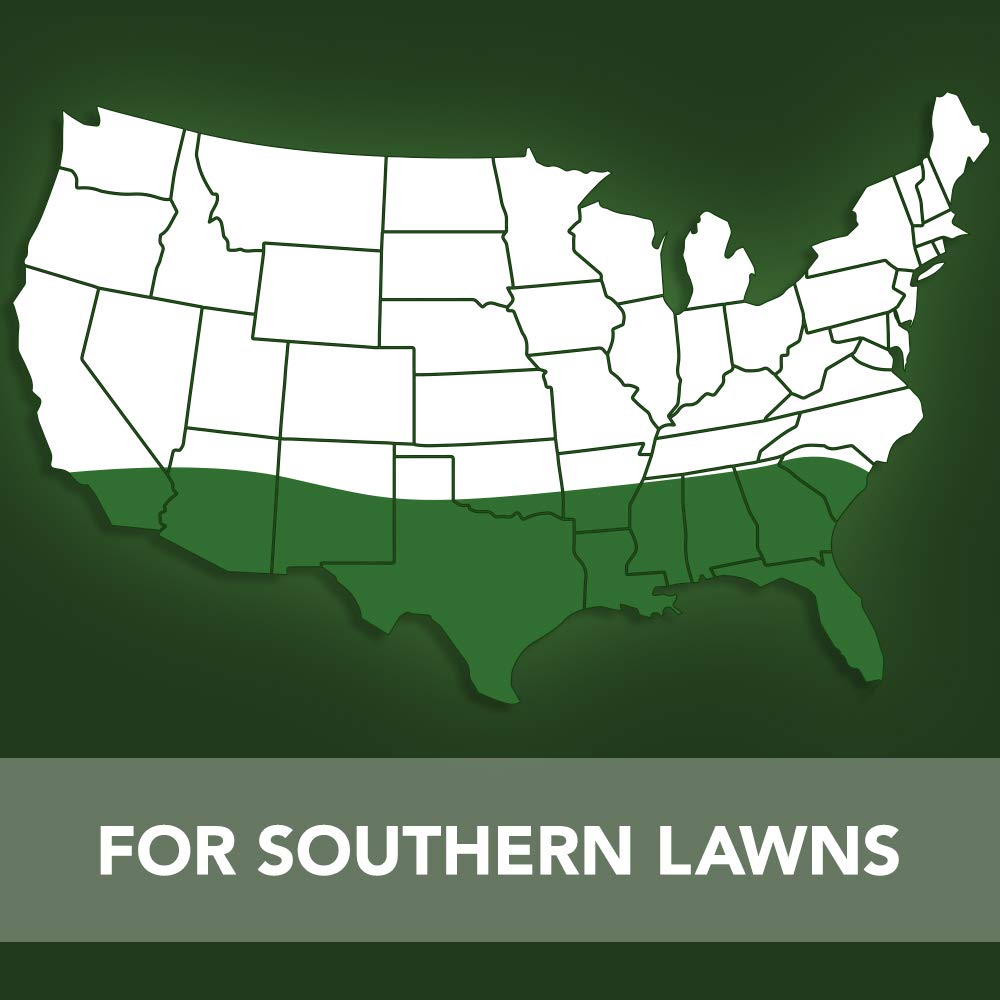 BioAdvanced healthy turf after treatment with weed-free lawn