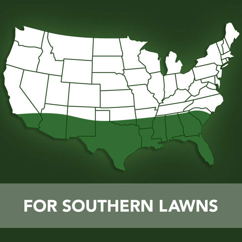 BioAdvanced healthy turf after treatment with weed-free lawn