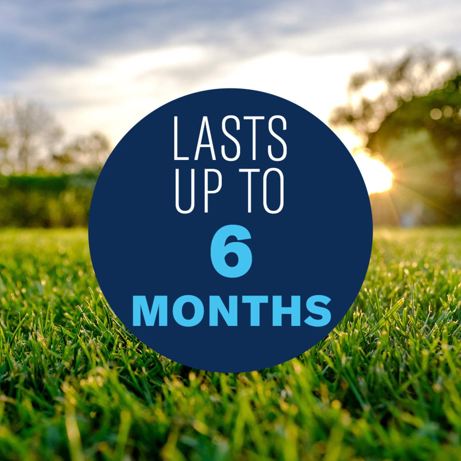 BioAdvanced Season Long Weed Control rainproof-formula ready within one hour after application