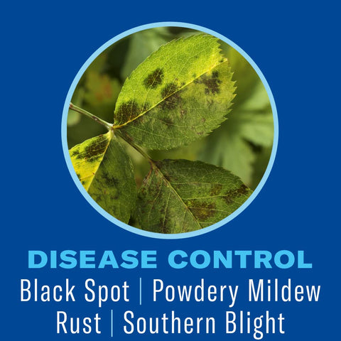 Healthy, lush shrub with vibrant leaves after applying BioAdvanced Shrub Care.