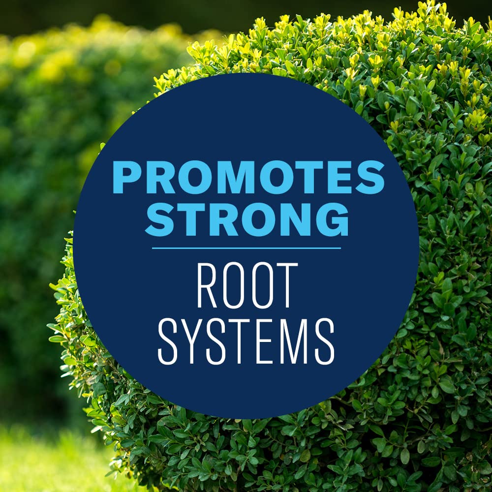 Close-up showing pest protection with BioAdvanced Shrub Care systemic formula.