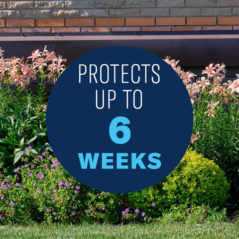 Garden bed treated with BioAdvanced Shrub Care to boost vigor.