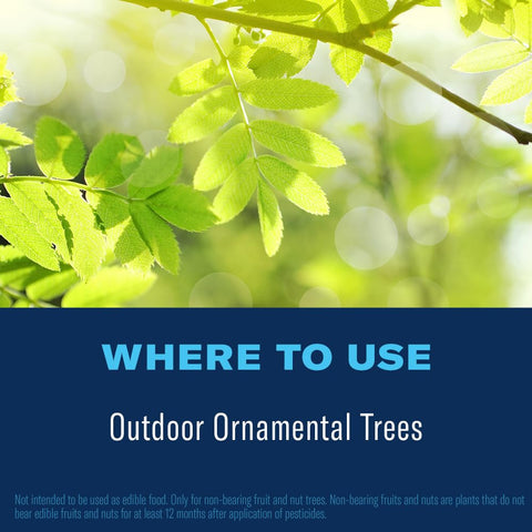 Soil receives slow-release fertilizer, supporting ongoing tree health.
