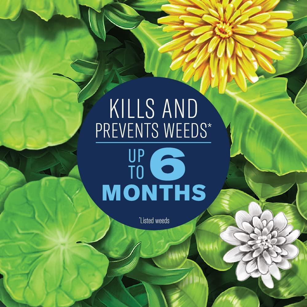 BioAdvanced southern lawn weed killer for St. Augustinegrass and Floratam.