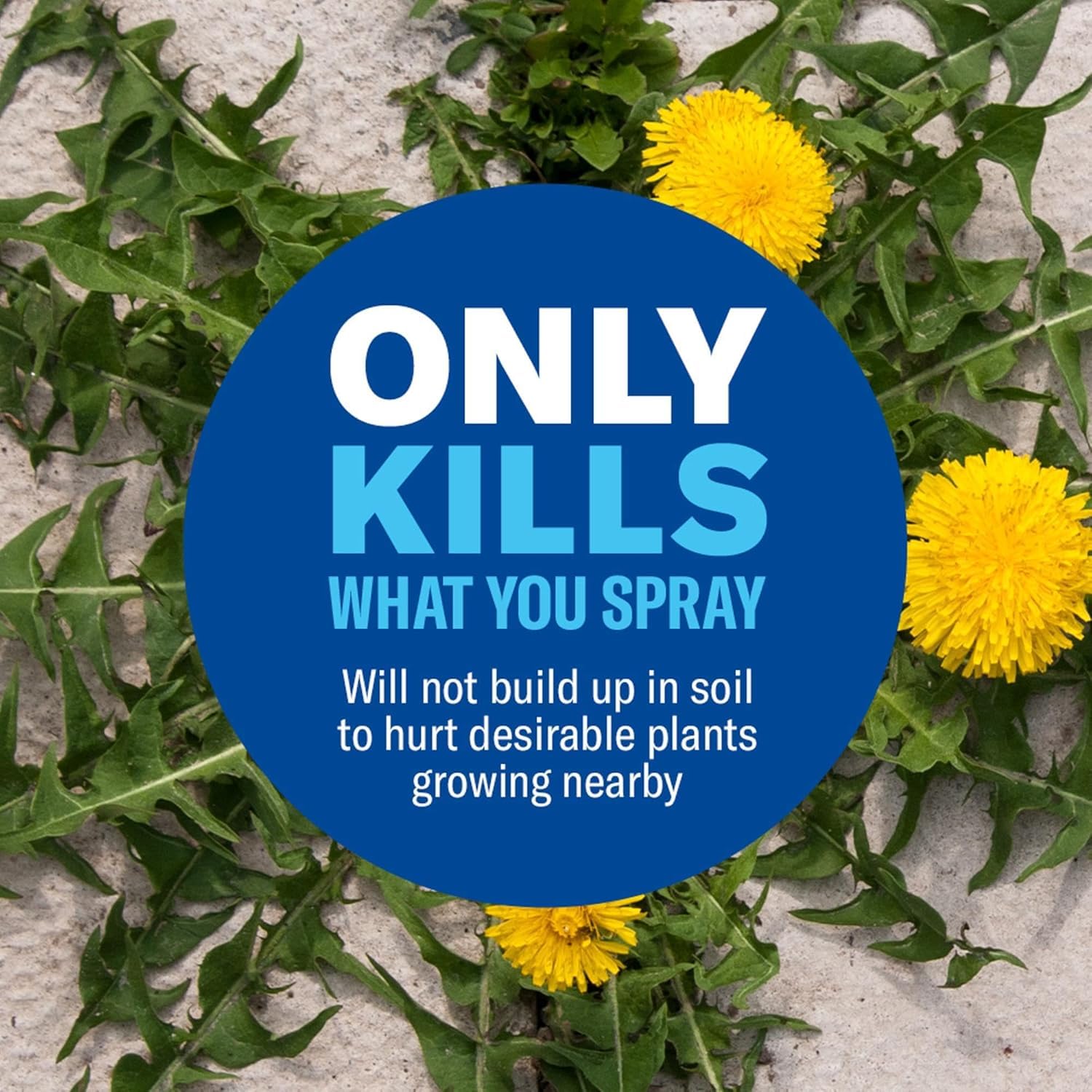 Close-up of BioAdvanced spray action applying to weeds for targeted control.