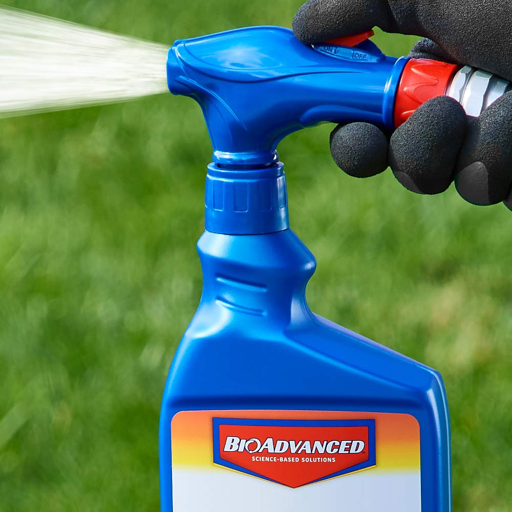 BioAdvanced sprayed lawn application demonstrates even coverage on turf