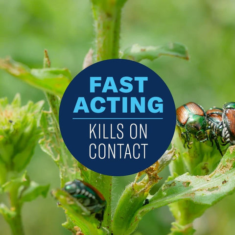 BioAdvanced spray on leaf surfaces protecting against pests.