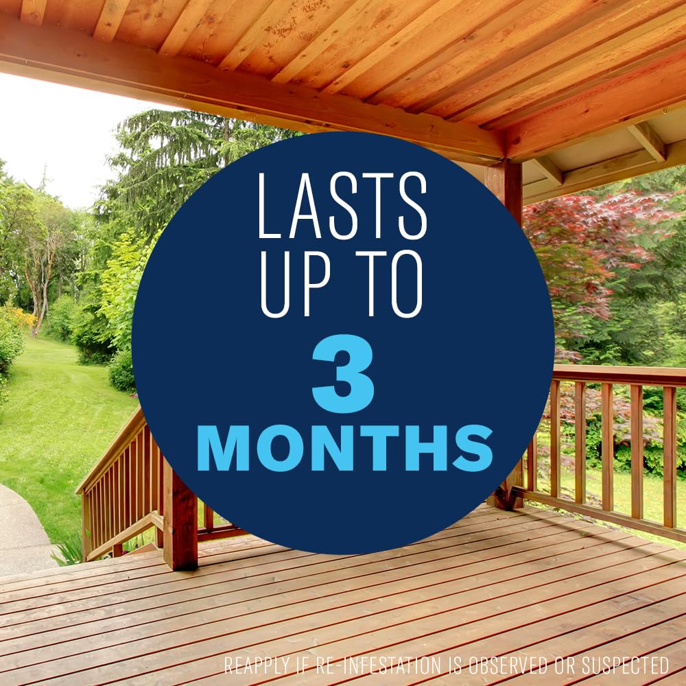 Leaves treated areas protected against common wood-infesting insects