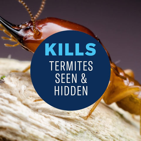 Killer foam traps termites and carpenter bees in cracks and crevices