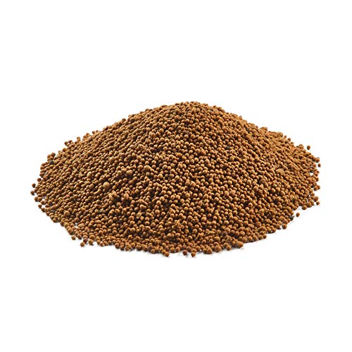 Imidacloprid-based formula, EPA-registered for exterior termite management.