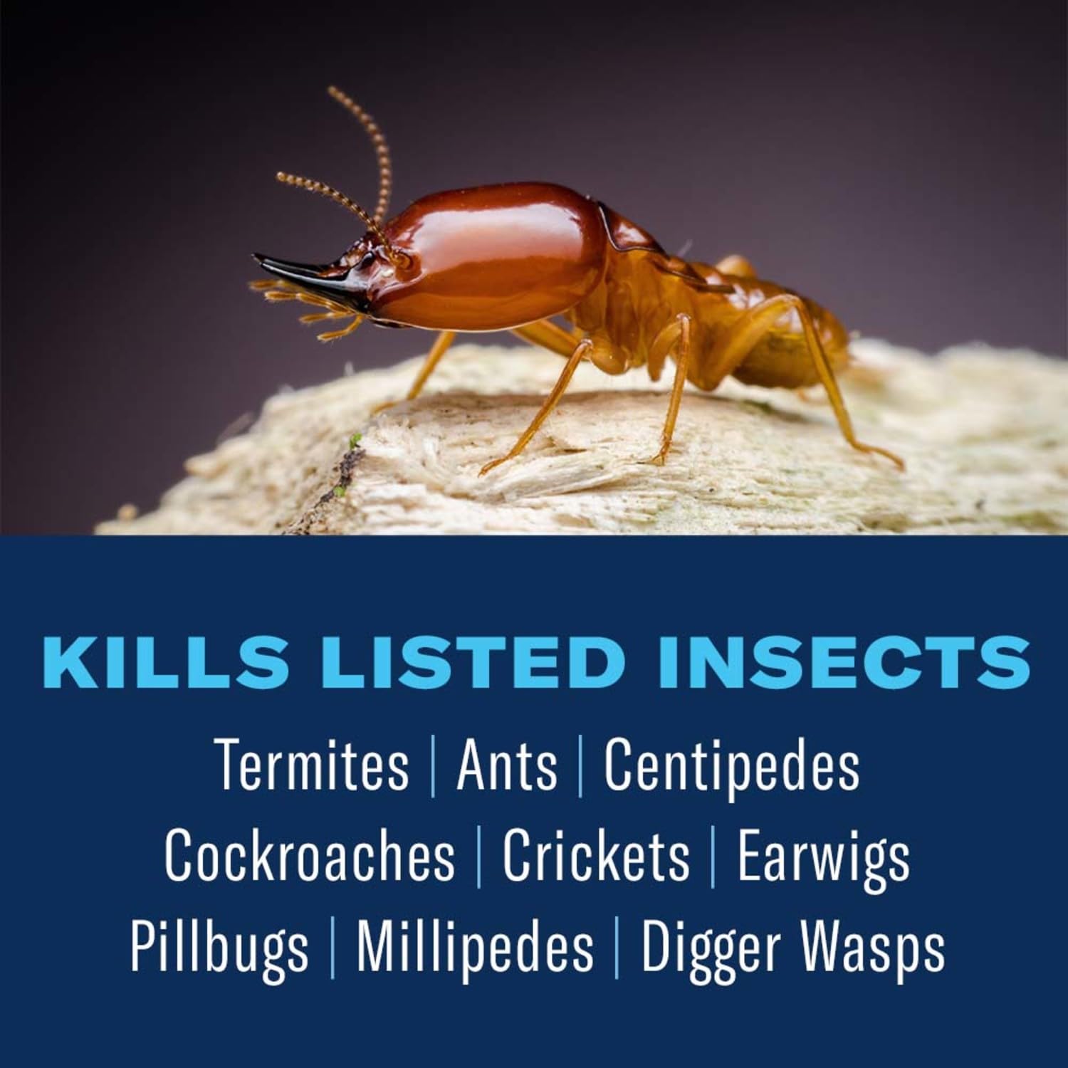 BioAdvanced Termite Killer Granules being spread along exterior perimeter.