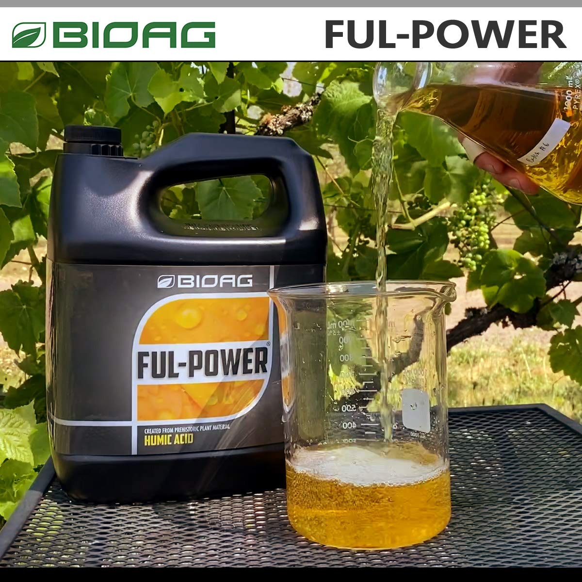 BioAg Ful-Power greenhouse cultivation supports vigorous growth in controlled environments.