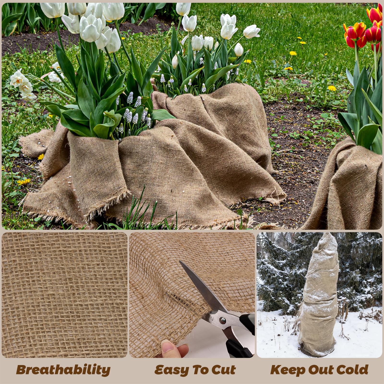 Biobubana tree wrap burlap protects trunks during winter
