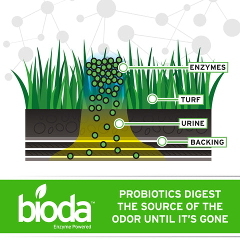 Bioda probiotic outdoor odor eliminator lawn treatment for pet odors.