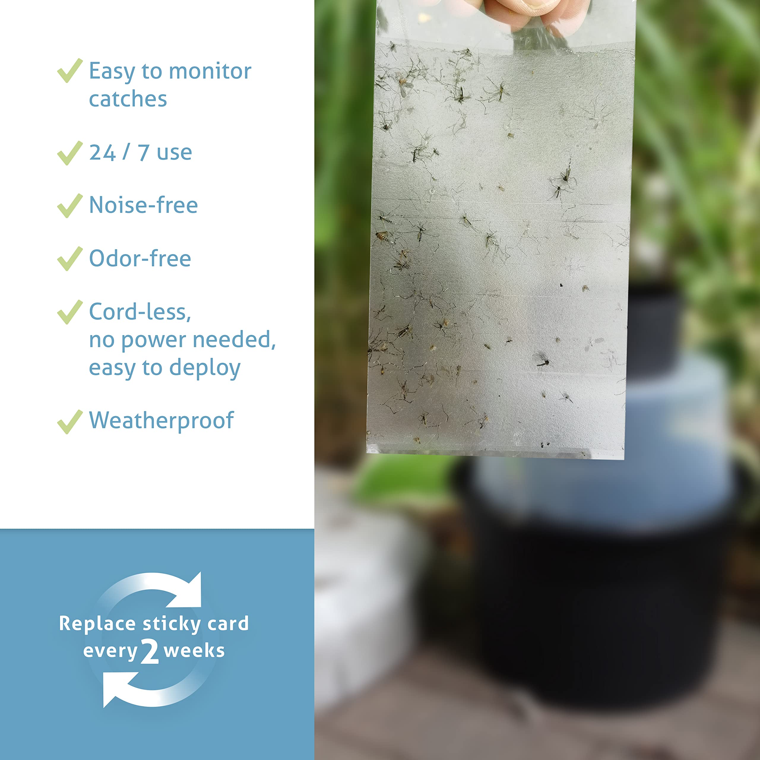 Biogents sticky cards kit for monitoring mosquito capture.