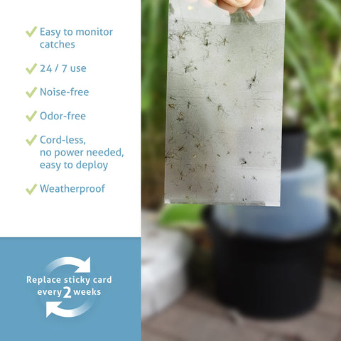 Biogents sticky cards kit for monitoring mosquito capture.