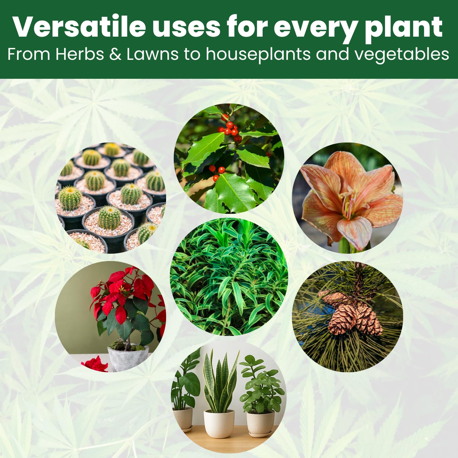 BIOGROWTH ORGANICS greenhouse growing supports steady growth and better harvests in controlled environments