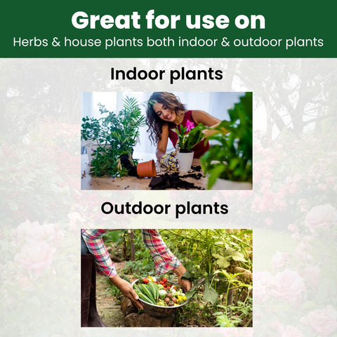 BIOGROWTH ORGANICS hydroponics application enhances nutrient availability