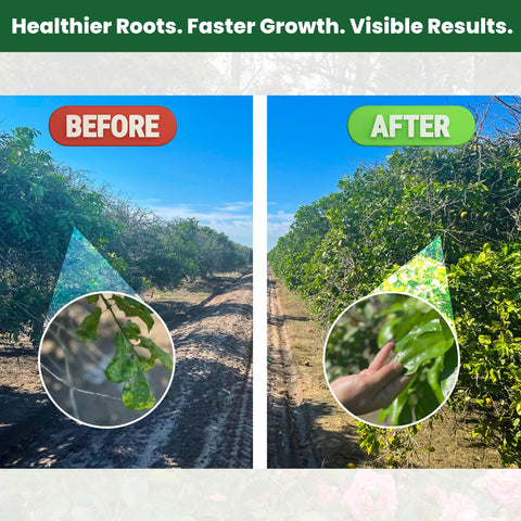 BIOGROWTH ORGANICS organic cultivation friendly formula supports eco-friendly gardening