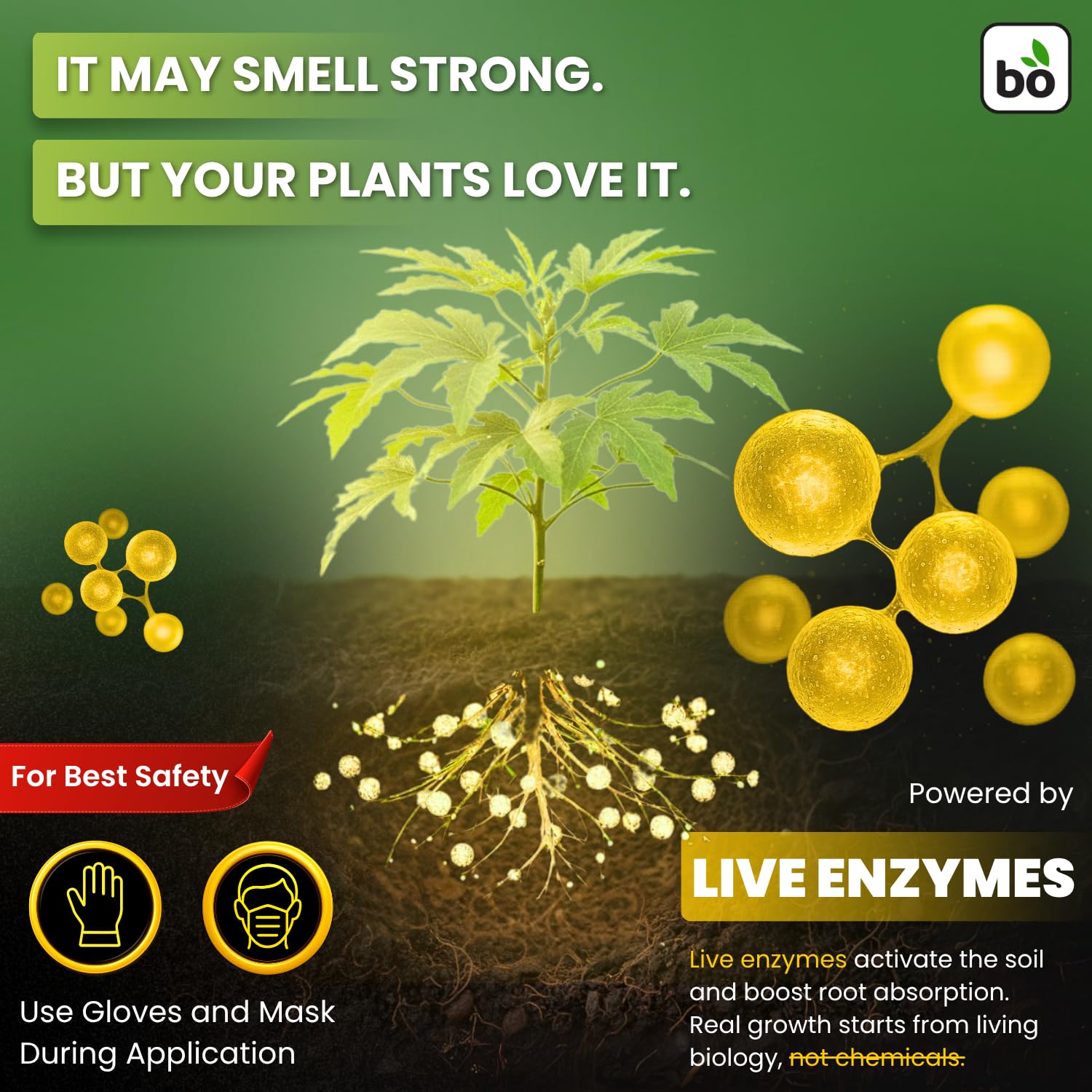 BIOGROWTH ORGANICS root mass indicates stronger roots in potted plants