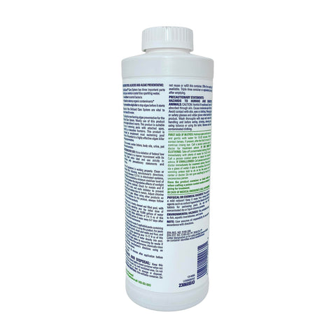 BioGuard Algae All 60 pool with spa protection illustrating compatibility with spa features.