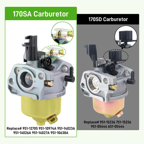 BioLion 165SA carburetor compatibility overview for 170S engines