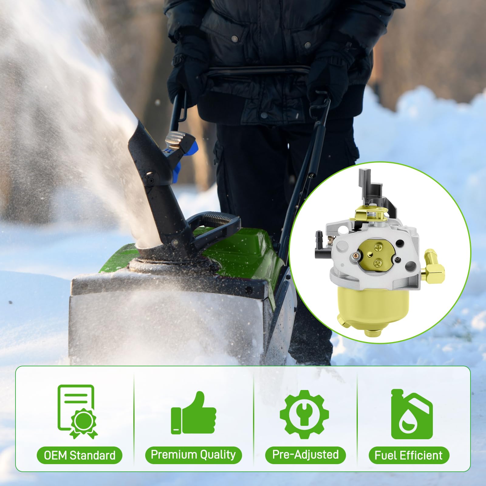 BioLion carburetor kit contents visual highlights for quick installation