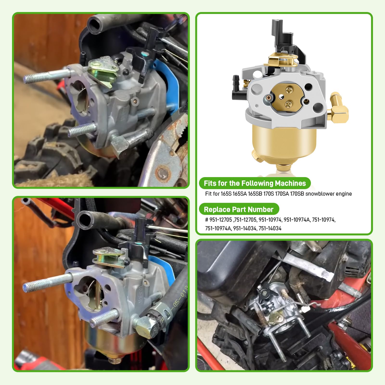 BioLion Craftsman snow thrower carburetor close-up for easy replacement