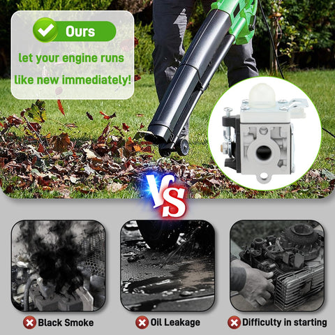 BioLion PB2520 spark plug provides reliable ignition and smoother runs