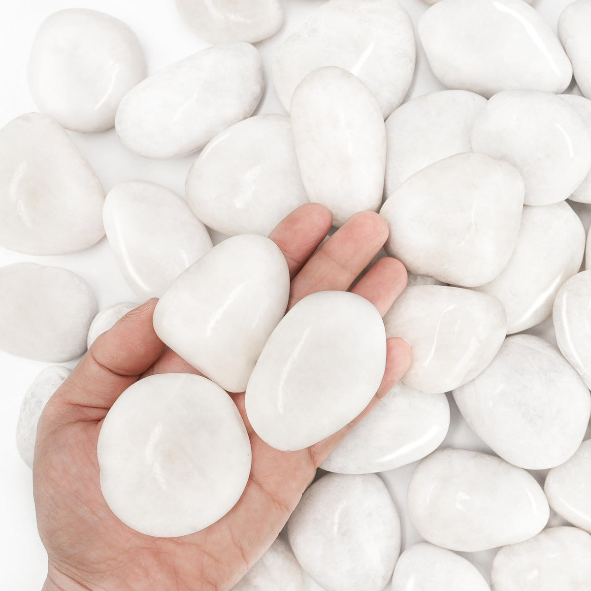 BIOMAND white river rocks for indoor plants enhance drainage and color longevity.