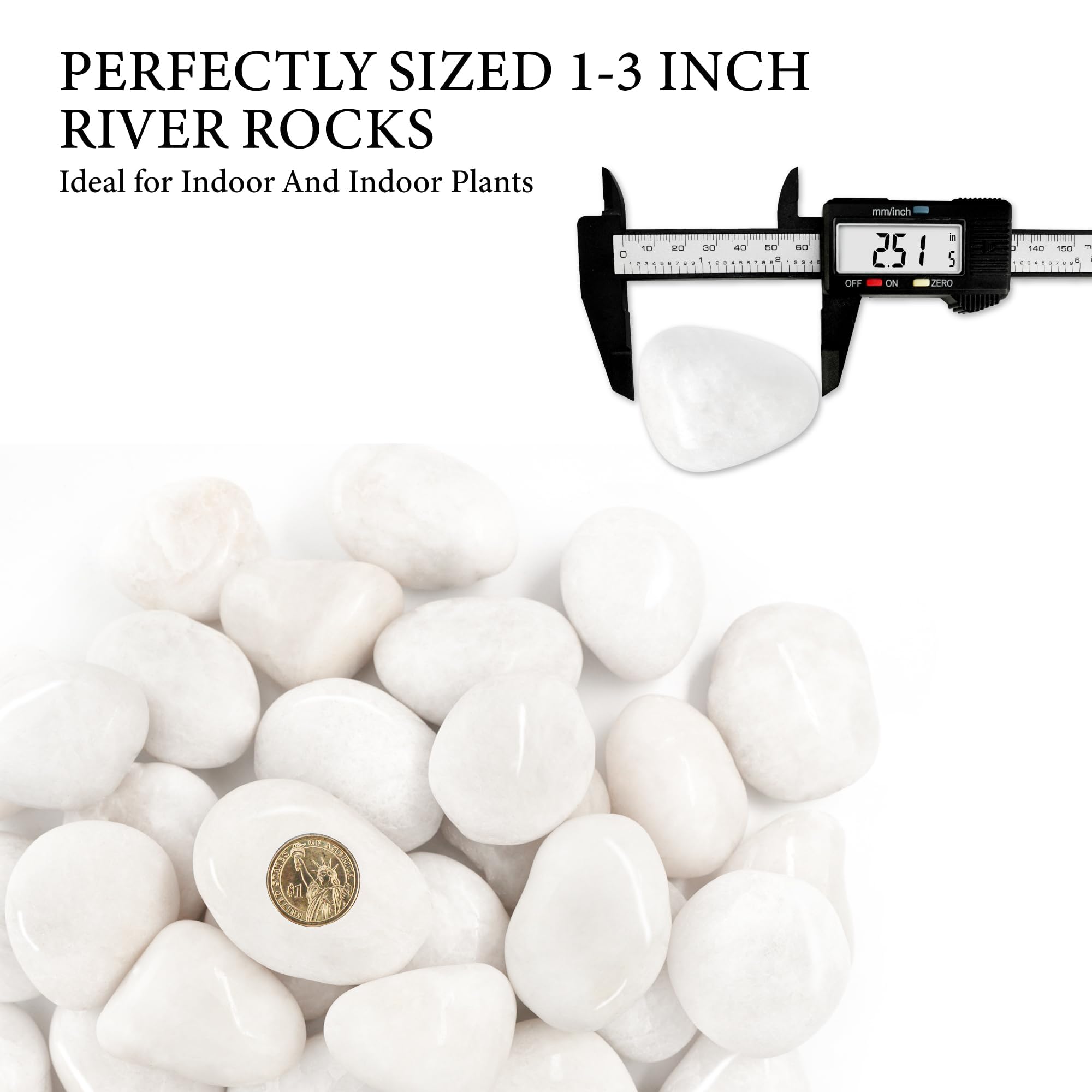 BIOMAND black river rocks add modern contrast to any space.