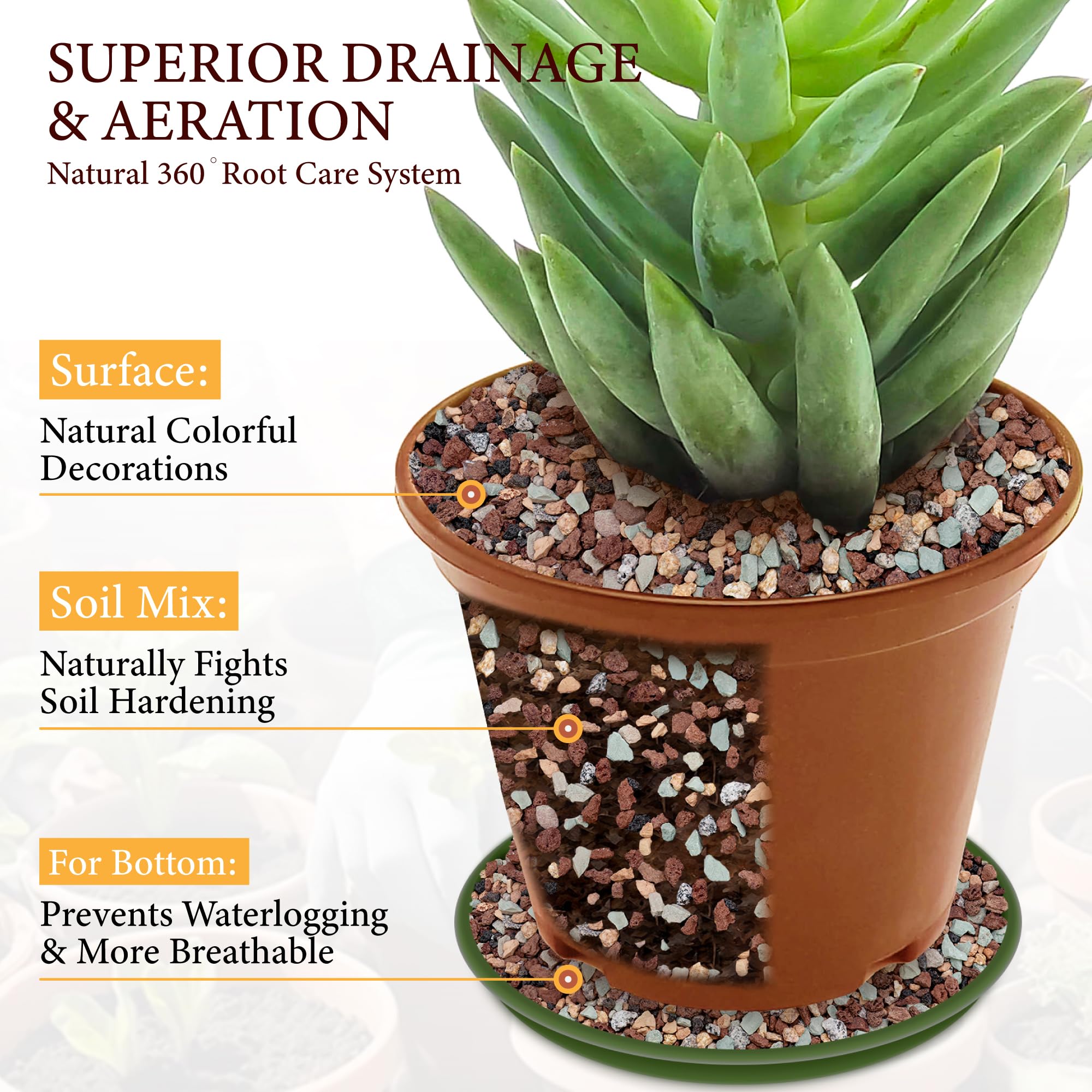 BIOMAND porous lava rocks improve aeration, reducing moisture buildup in containers.