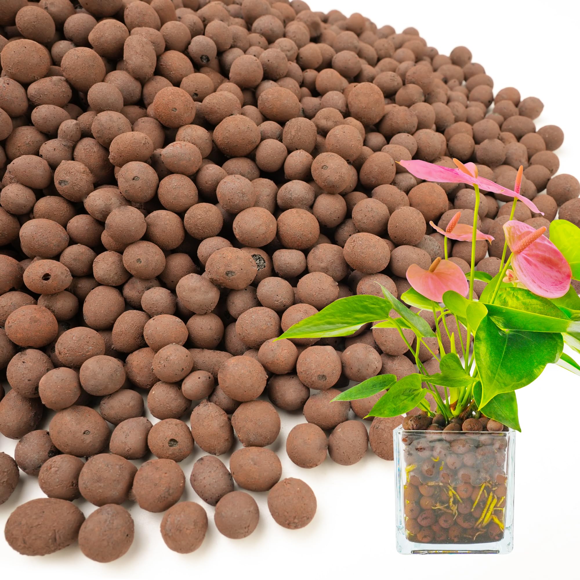 BIOMAND LECA 10-20mm clay pebbles improve drainage and root aeration.